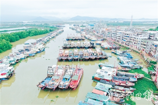 横山渔港今年计划停泊应休渔船数量400余艘，目前已停泊193艘。