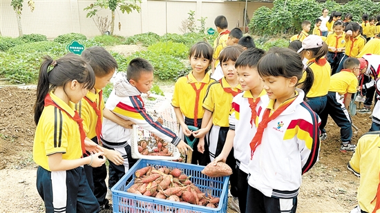 鹤山不少学校在校园内开辟了小型菜地、稻田，有的学校还开设了烹饪教室、手工坊等。